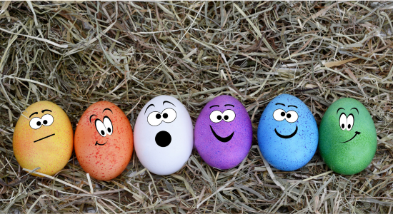 🌷 Frohe Ostern mit Frox! 🐣