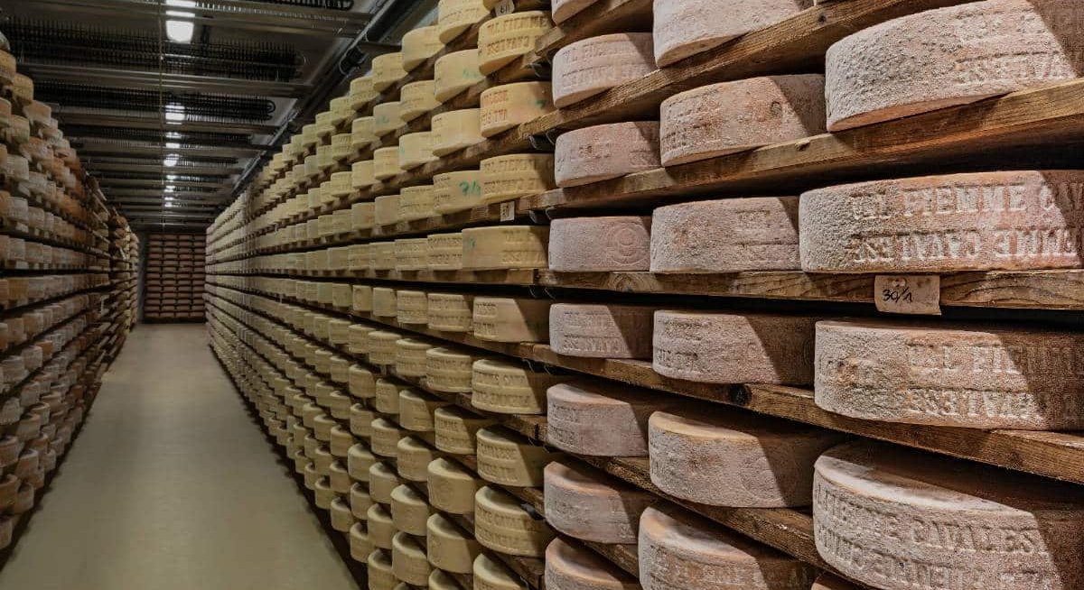 🧀 Er schmeckt viel besser, als es riecht