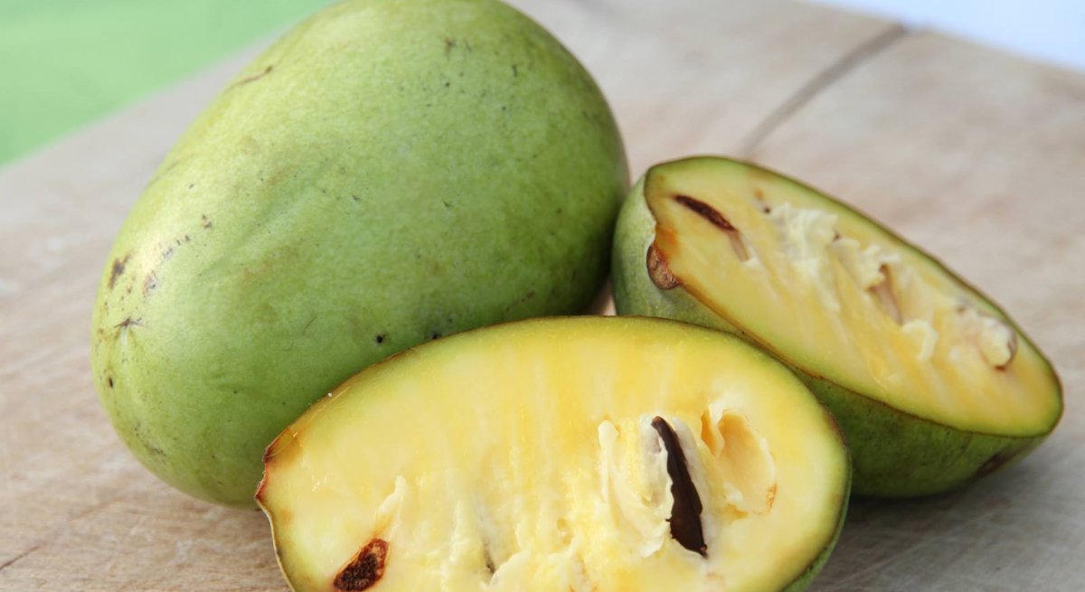 Indianer Banane, ein Mix an Geschmäcker!