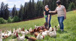 Mit FROX macht Einkaufen Spaß!