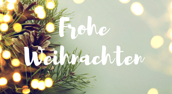 Letzte Lieferung vor Weihnachten!!!