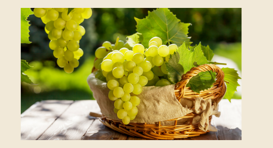 🍇 Zurück aus dem Urlaub – mit süßen Trauben aus Apulien im Gepäck!