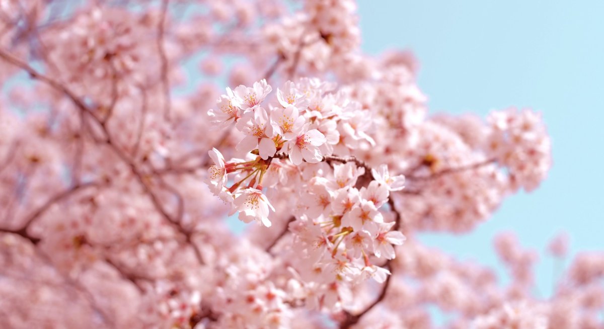 Der Frühling kommt: Zeit für neue Geschmäcker!