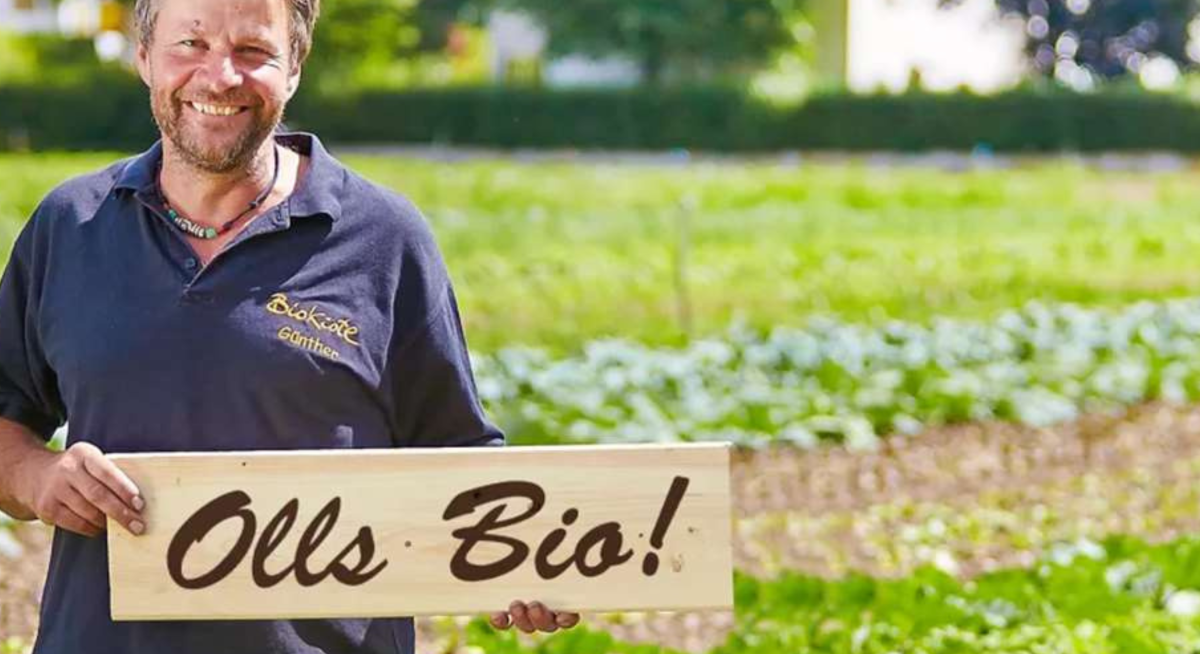 Die Bio-Boxen sind zurück!