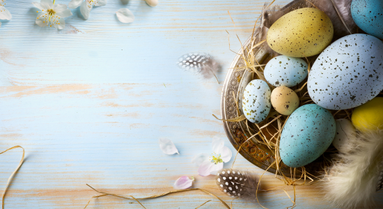 Mit FROX lecker feiern!