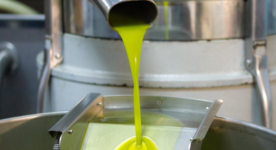 Neues  Olivenöl „frisch aus der Presse“ 🌿 Endlich ist es da!