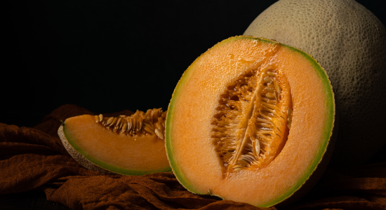 Die Königin unter den Melonen - Die Cantalupemelone aus Mantova