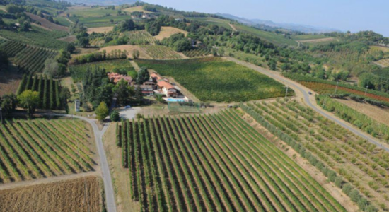 Ein Hauch von Romagna in der Froxbox🍷