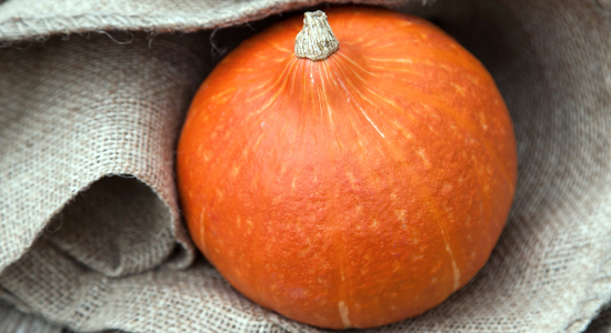 Lokale Kürbisse bei Frox!!!