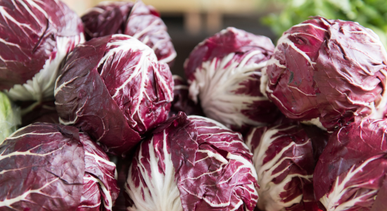 Radicchio-Woche bei Frox !!!