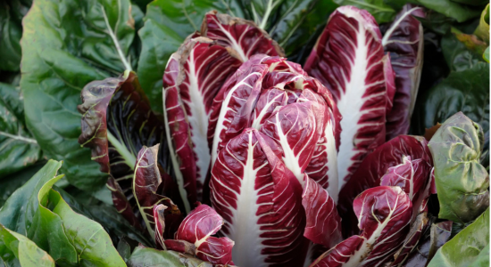 Radiccio Treviso - Dein Produkt der Woche!!!