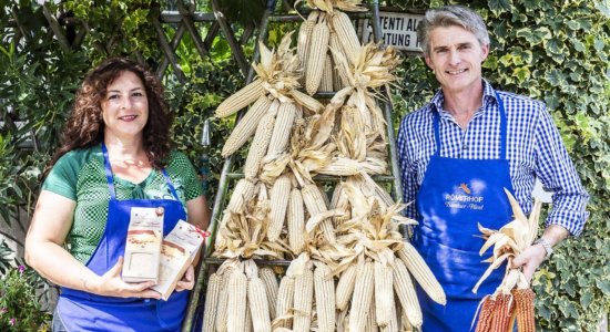 Knusprige Neuheit vom Römerhof: Mais-Triangolini 100% aus Südtirol!!!
