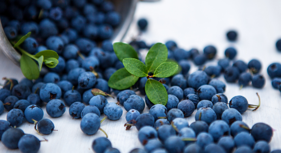 Produkt der Woche: Südtiroler Heidelbeeren vom Tschanggerhof 🍇✨
