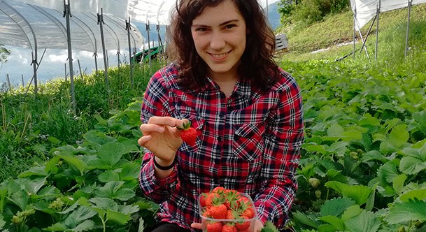 Un'assortimento sempre più colorato!