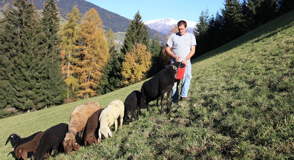 Gewissenhafter Einkaufen – yes, we can!