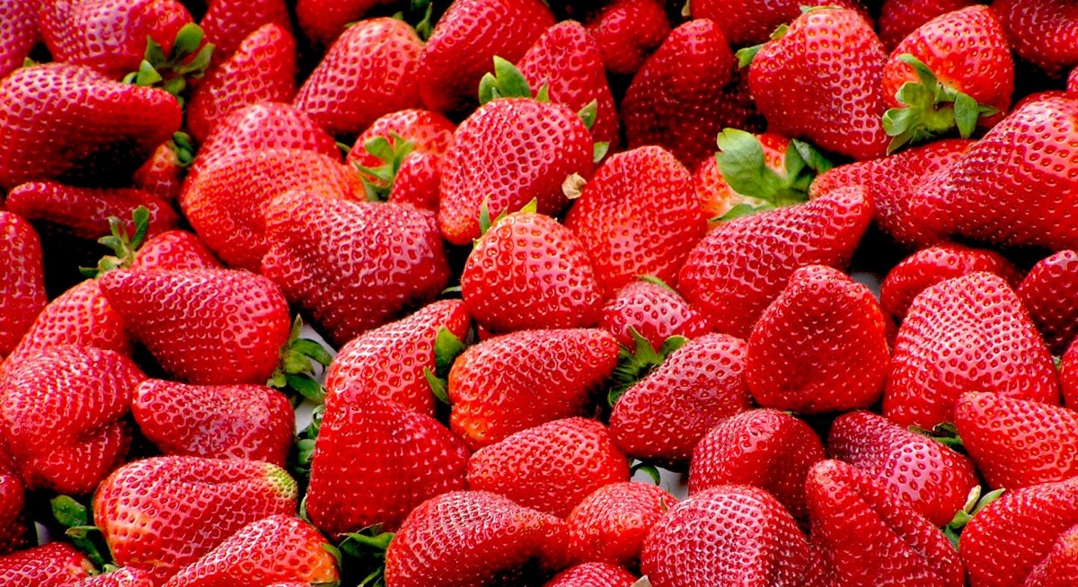 Fresca, colorata e conveniente: la frutta e verdura di FROX!
